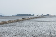 [체험여행] 아름답고 이국적인 한국의 발리, 신안군 증도 우전해수욕장