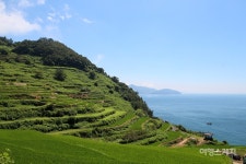 [체험여행] 보물섬 남해에서 만나는 신나는 체험 한마당! 두모마을과 다랭이마을