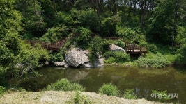 [한국의 세계유산] 산사, 한국의 산지승원 ② 마곡사, 마곡천 물소리 들으며 마음마저 씻어내는 곳