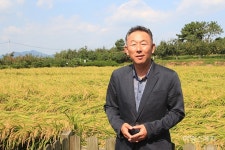 [가을 여행] 곡식과 함께 가을날 추억까지 무르익는 곳, 창원 빗돌배기마을