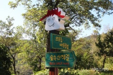[가을 정취와 함께 거닐다②] 첩첩산중, 그곳에 풍류가 고여 있나니…영월 산꼬라데이길