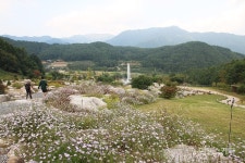 [가을여행] 백두대간이 품은 봉화에서 가을 힐링 여행