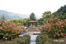 [가을여행] 백두대간이 품은 봉화에서 가을 힐링 여행