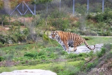 [가을여행] 백두대간이 품은 봉화에서 가을 힐링 여행