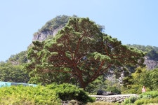 [가을여행] 백두대간이 품은 봉화에서 가을 힐링 여행