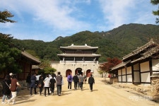 [가을여행] 아삭한 감홍 사과 맛보러 문경으로 떠나볼까?