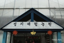 [가을 여행] 체험과 자연, 유래 깊은 사찰까지…양산의 매력에 흠뻑 물들다