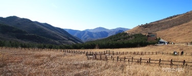 [버킷리스트 여행을 떠나다 ③ 울산] 억새꽃 진 자리에 피어난 새 소망, 영남알프스 간월재
