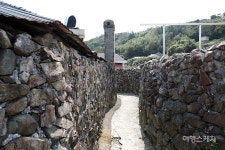 [섬플러스⑳] 사계절 내내 야생화를 볼 수 있는 섬, 고흥 쑥섬