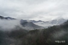 [청정지역 시골 여행 ①] 첩첩산중 운무가 그려내는 한 폭의 수채화, 횡성 고라데이마을