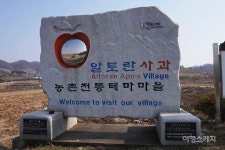 [청정지역 시골 여행 ②] 상쾌한 공기와 햇살 아래 마음이 편해지는 곳, 예산 알토란사과마을