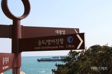 [트레킹 여행] 파도와 윤슬이 곁을 내주는 길, 울산 대왕암길 트레킹