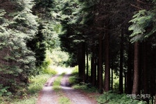 [업로드] 하동 편백자연휴양림 4월 임시 개장…바다 벗 삼아 걷는 해안누리길 5개 노선 선정