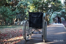 [이동미, 열린관광지를 가다 ③] 다양한 탐방로는 칭찬, 스토퍼ㆍ논슬립은 시급…여수 오동도