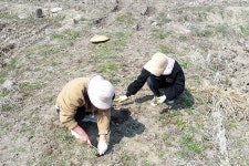 [청정지역 시골 여행 Ⅱ ①] 지리산 트레킹, 냉이와 음이온으로 활기 되찾는 남원 선돌촌마을