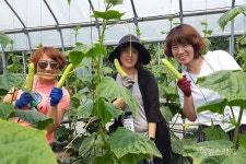 [청정지역 시골 여행 Ⅱ ③] 푸르른 생명력이 넘실대는 고장, 연천 푸르내마을