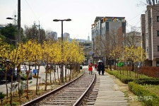 [박은하의 감성여행] 추억과 낭만이 깃든 기찻길 산책, 공릉동 경춘선 숲길