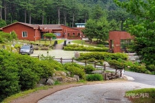 [트레킹 여행] 국내 최대 잣나무림을 누비다, 경기도 잣향기푸른숲