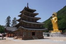 [청정지역 시골 여행 Ⅲ ②] 자연과 친구 되는 마을에서 추억 쌓기, 보은 잘산대마을