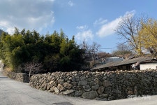 [청정지역 시골 여행 Ⅲ ①] 돌담이 정겨운 마을, 400년 외톨 솔 배기에서 소원 빌기, 남원 원천마을