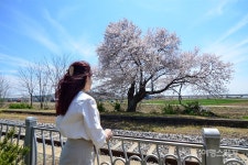 [권다현의 아날로그 기차 여행] 근대로의 시간여행, 군산 임피역