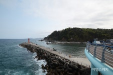 [외국인 추천 여행지] 강원도 해안가 최대 도시 강릉…역사를 담고 이어져 온 바다향, 솔향, 커피향