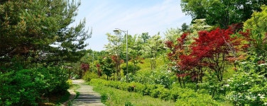 [트레킹 여행] 수도권 드라이브와 파주 심학산 둘레길 함께 즐기기