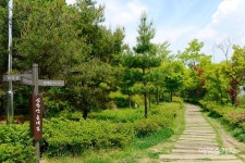 [트레킹 여행] 수도권 드라이브와 파주 심학산 둘레길 함께 즐기기