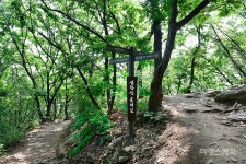 [트레킹 여행] 수도권 드라이브와 파주 심학산 둘레길 함께 즐기기