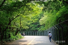 [박은하의 감성여행] 도심 속 초록향기를 따라, 서울 남산 둘레길