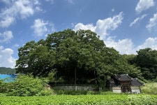 [숨은 여행지 찾기] 물소리, 새소리, 바람 소리에 여름을 잊다, 남원 추어마을