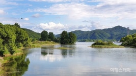 [여름엔 야간여행 ③] 강바람과 야경이 어우러진 시원한 여름밤 산책, 가평 자라섬 남도