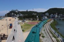 [이동미, 열린관광지를 가다] 배려 깊은 화장실 안전 바,개선 필요한 표지판… 강릉 모래시계공원