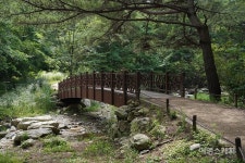 [청정지역 강원 트레킹 ①] 치악산둘레길 3코스 수레너미길 왕이 스승을 찾아갔던 역사 따라 자연 속을 걷다