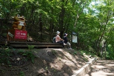 [청정지역 강원 트레킹 ①] 치악산둘레길 3코스 수레너미길 왕이 스승을 찾아갔던 역사 따라 자연 속을 걷다