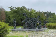 [청정지역 강원 트레킹 ④] 물억새와 억새풀 은빛 물결 기대 영랑호 생태습지공원