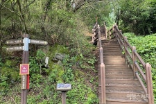 [청정지역 충북 트레킹 ②]  발걸음 옮길 때마다 강바람이 불어오는, 단양 느림보 강물길