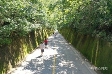 [청정지역 충북 트레킹 ②]  발걸음 옮길 때마다 강바람이 불어오는, 단양 느림보 강물길