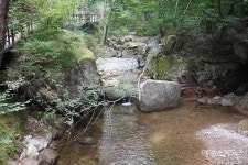 [청정지역 충북 트레킹 ③]  몸과 마음을 치유하는 그곳을 걷다, 보은 오리숲길·세조길