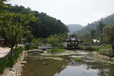 [숨겨진 여행지 찾기] 잊혀가는 농촌 풍경과 자연으로 떠나는 여행, 홍천 수타사 농촌테마공원& 공작산 생태숲