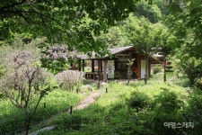[명승, 그곳에 쉼이 있다 ③] 여기가 세상에서 이르는 청학동인가 쌍계사에서 불일폭포 가는 길