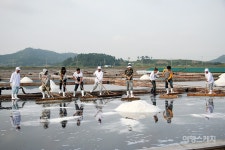 [영광 농산 어촌 체험마을] 오감 만족! 알짜 여행!! 영광농산어촌체험마을