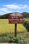 [영광 농산 어촌 체험마을] 오감 만족! 알짜 여행!! 영광농산어촌체험마을