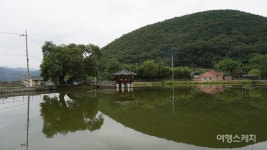 [웰촌과 함께하는 농촌여행] 봉황의 기운을 받은 넓고 푸근한 농촌 경북 포항 봉좌마을