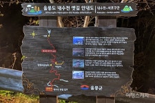 [옛 지도 따라 옛길 걷기 ①] 울릉도의 속살을 보며 걷는 길 내수전-석포 옛길