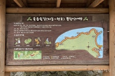 [옛 지도 따라 옛길 걷기 ①] 울릉도의 속살을 보며 걷는 길 내수전-석포 옛길