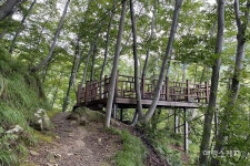 [옛 지도 따라 옛길 걷기 ①] 울릉도의 속살을 보며 걷는 길 내수전-석포 옛길