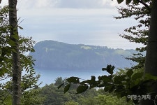 [옛 지도 따라 옛길 걷기 ①] 울릉도의 속살을 보며 걷는 길 내수전-석포 옛길