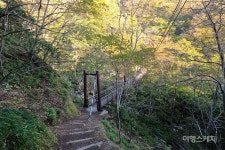 [옛 지도 따라 옛길 걷기 ①] 울릉도의 속살을 보며 걷는 길 내수전-석포 옛길