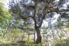 [트레킹 여행] 전북 남원 신선둘레길+신선자락길 산내면, 지리산의 안쪽에 숨은 여행 명소